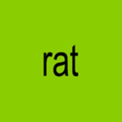 rat bastard noah