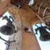 Campaners de Santa Maria de Mataró (@campanarmataro) Twitter profile photo Campaners de Santa Maria de Mataró (@campanarmataro) Twitter profile photo