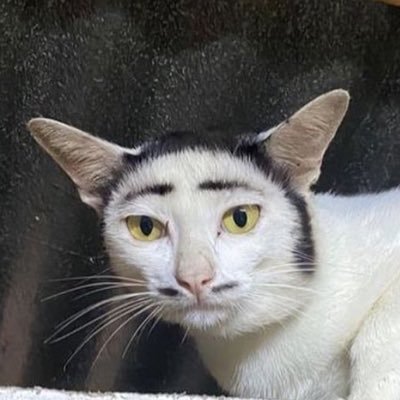 ntkzzx's profile picture. 