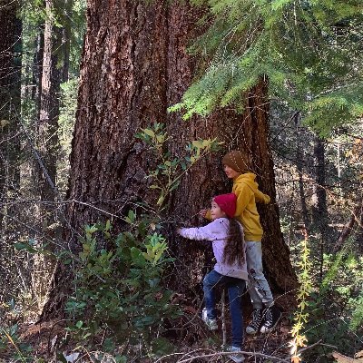 Come to the Lost Sierra Forest-Climate Action Camp from May 23-29!