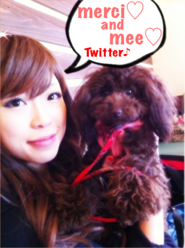 グンちゃん좋아좋아～♡♡♡愛犬のmerciちゃん(人形になったスニちゃんにそっくりなブラウンのちいちゃいトイプ♡ )とゆるすぎる毎日੯ू❛ัू ໒꒱♡好きな家事はお洗濯♡苦手な家事は整理整頓☻