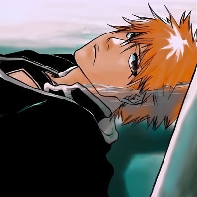 17! | #1 Ichigo Fan | TechnoTWT | BleachTWT