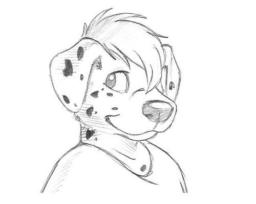 A wanderer. Eclectic. Detached. Going through life seeking a good conversation, friends and ....  I'm a dalmatian.