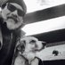 Jeffrey Dean Morgan (@jdm0rganpm_) Twitter profile photo Jeffrey Dean Morgan (@jdm0rganpm_) Twitter profile photo