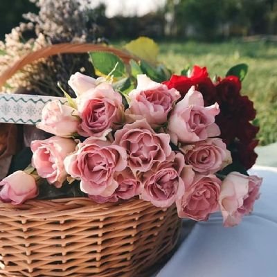 MawadaS14's profile picture. إحفظ الله يحفظك INFJ Empath Teacher