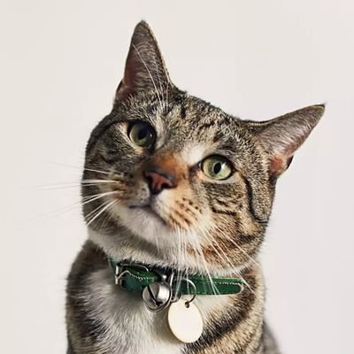 MorganHern74379's profile picture. 