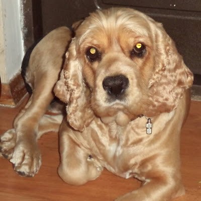 AlexanderO15436's profile picture. 