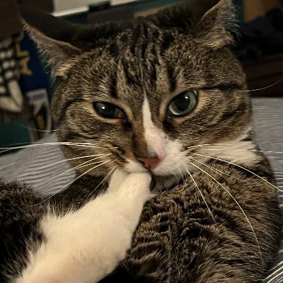 happyhourred's profile picture. carefully curated retweets, mostly
