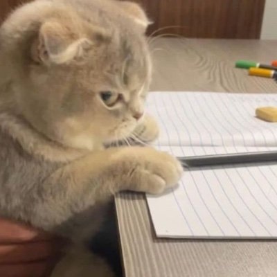 olivenia1's profile picture. whew, thanks
🍉