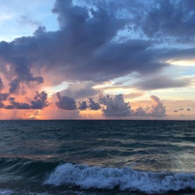 ArdentEcologist's profile picture. Lakes, oceans, rivers, forests, the sky and animals ❤️☺️ Ferrari 🏎️