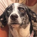 Ethan Renner - @Mericaa976 - Twitter