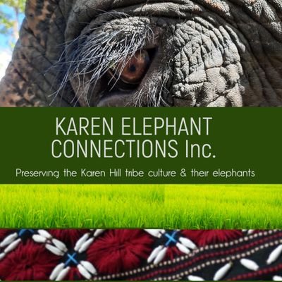 We are a new non profit organisation supporting the Karen people and their elephants.