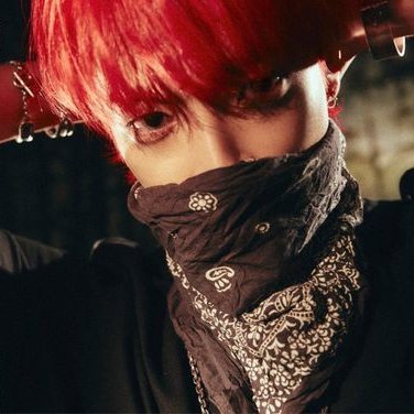 ✿.       𝗏𝗂ō𝗅𝖾𝗍       𝑓𝗈𝗋       𝗁𝖺𝖾𝖼𝗁𝖺𝗇