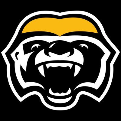 Official account of the Brampton Honey Badgers. 2022 @CEBLeague Champions🏆