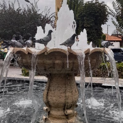 m_kokden's profile picture. 