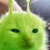 Blo_N_Die (@noobs_to) Twitter profile photo Blo_N_Die (@noobs_to) Twitter profile photo