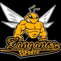 zanganos esports(@Zanganoseports) 's Twitter Profile Photo