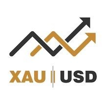 I post daily #XAUUSD trades. Win rate is 78.7% ✨ Trade at your own risk and do your own due diligence.