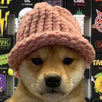 Dankvapewifhat on $SOL what’s better than bringing old memes and new memes together? presale is live tokens airdrop once we hit