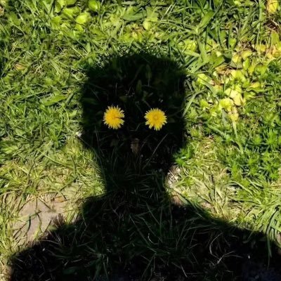 SayMicro's profile picture. 