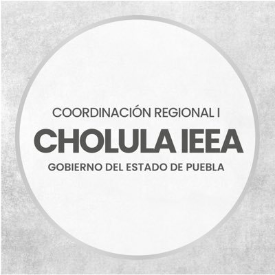 El IEEA surge como la instancia estatal encargada de ofrecer los servicios de educación básica a todos los poblanos en situación de Rezago Educativo.