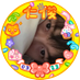 ✾mi ° off (@mydearhrj_) Twitter profile photo ✾mi ° off (@mydearhrj_) Twitter profile photo