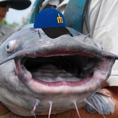 Lucktar1's profile picture. Leftist politics, pro wrestling, Mariners baseball. He/him. Shoot catfish.