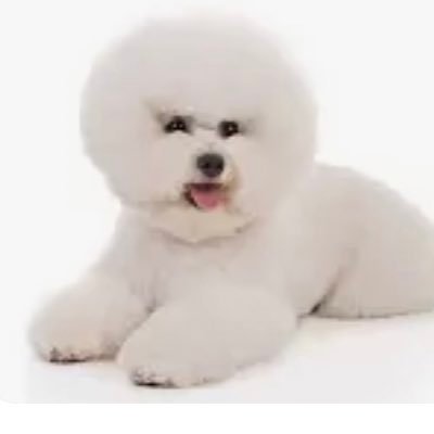 Tinanie66's profile picture. …