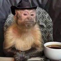 godinezaliados.xlsb (@godinezaliados) 's Twitter Profile Photo godinezaliados.xlsb (@godinezaliados) 's Twitter Profile Photo