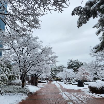 lawhelp1994's profile picture. 매일 성장을 꿈꾸는 ...