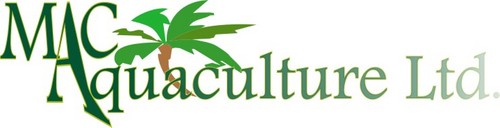 MacAquaculture's profile picture. Fairly new company in its start-up phase which aims to produce farm grown Tilapia and Ornamental fish
