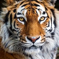 INAD RODRÍGUEZ (@inadrodriguezm8) 's Twitter Profile