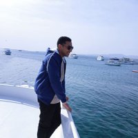 Ahmed Saeed ๐งช (@ahmedsa68162903) 's Twitter Profile