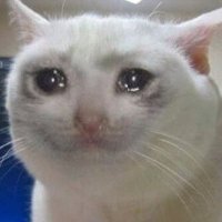 Crying Cat Solana (@cryingcat_sol) 's Twitter Profile Photo Crying Cat Solana (@cryingcat_sol) 's Twitter Profile Photo