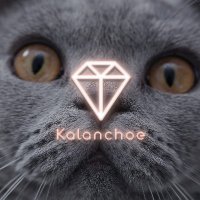 Kalanchoe アンティークジュエリー(@Kalanchoe_shop) 's Twitter Profile Photo