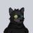 HochCapital's profile image