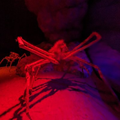 あかいろさんのプロフィール画像