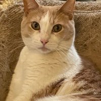 Michael Brennan (@michael84834991) 's Twitter Profile