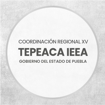 IEEA Puebla surge como la instancia estatal encargada de ofrecer los servicios de educación básica a todos los poblanos en situación de Rezago Educativo