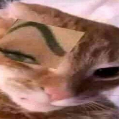 FurrosBabosos's profile picture. Para todos esos furros babosos que tanto queremos y apreciamos 💜💜💜

los queremos mucho (es broma valen Six Flax)