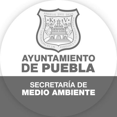 AmbientePuebla Profile Picture