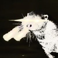 El Klimt'sche Gold Otter (@thegoldotter) 's Twitter Profile