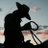 sherifdeacon's profile image