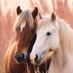 Horse Lovers (@Simply_Horses) Twitter profile photo