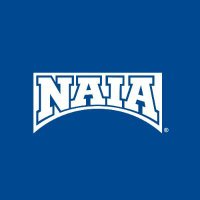 Naiatransfers (@naiatransfers) 's Twitter Profile