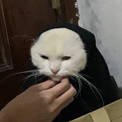 d_dwhype's profile picture. isinya ss an chat bucin semua ga ada yg lain