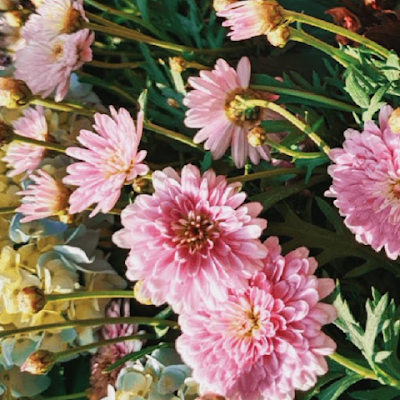 gara27655's profile picture. 