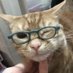 sal⁷ (@btterfiystan) Twitter profile photo sal⁷ (@btterfiystan) Twitter profile photo