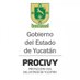 Protección Civil Yucatán (@procivy) Twitter profile photo