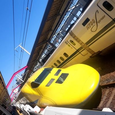 Kondo0219's profile picture. 推し活Twitter  プロレス #らく #原宿ぽむ #難波小百合 #谷もも #神姫楽ミサ #文りん #天翔ゆい #夏葵 

//ノートもはじめました
https://t.co/qaQsQxnAmW  

 #今日気になるレコード #うどんにうずら串推進委員会 はタグ作成主です